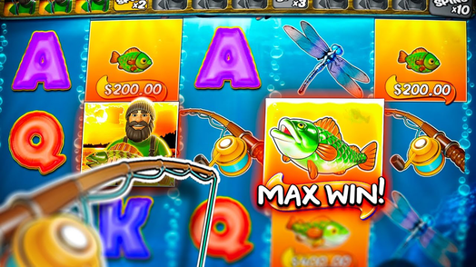 maxwin image 3